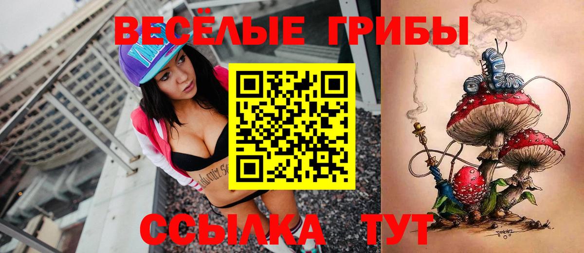 Кумертау  Псилоцибиновые грибы мухоморы  Галлюциногенные грибы GOLDEN TEACHER  Вход с VPN 