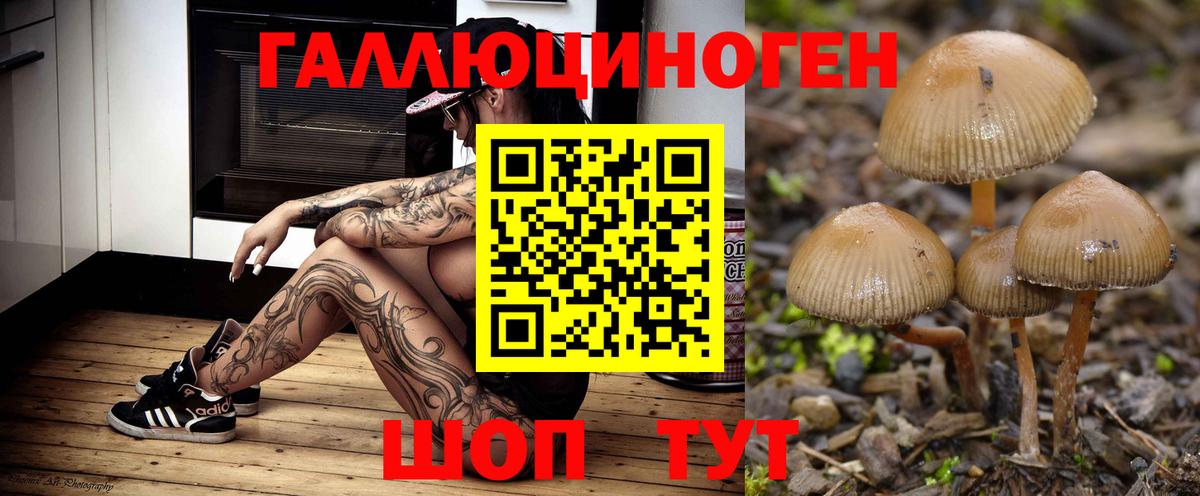 Галлюциногенные грибы Psilocybe Кумертау